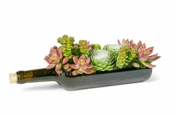 wine bottle succulent Wine Bottle Planter